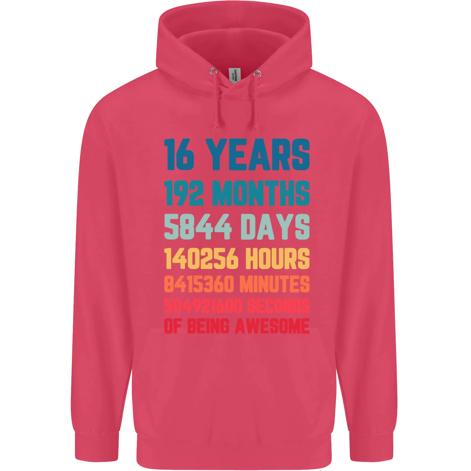 16th Birthday 16 Year Old Childrens Kids Hoodie