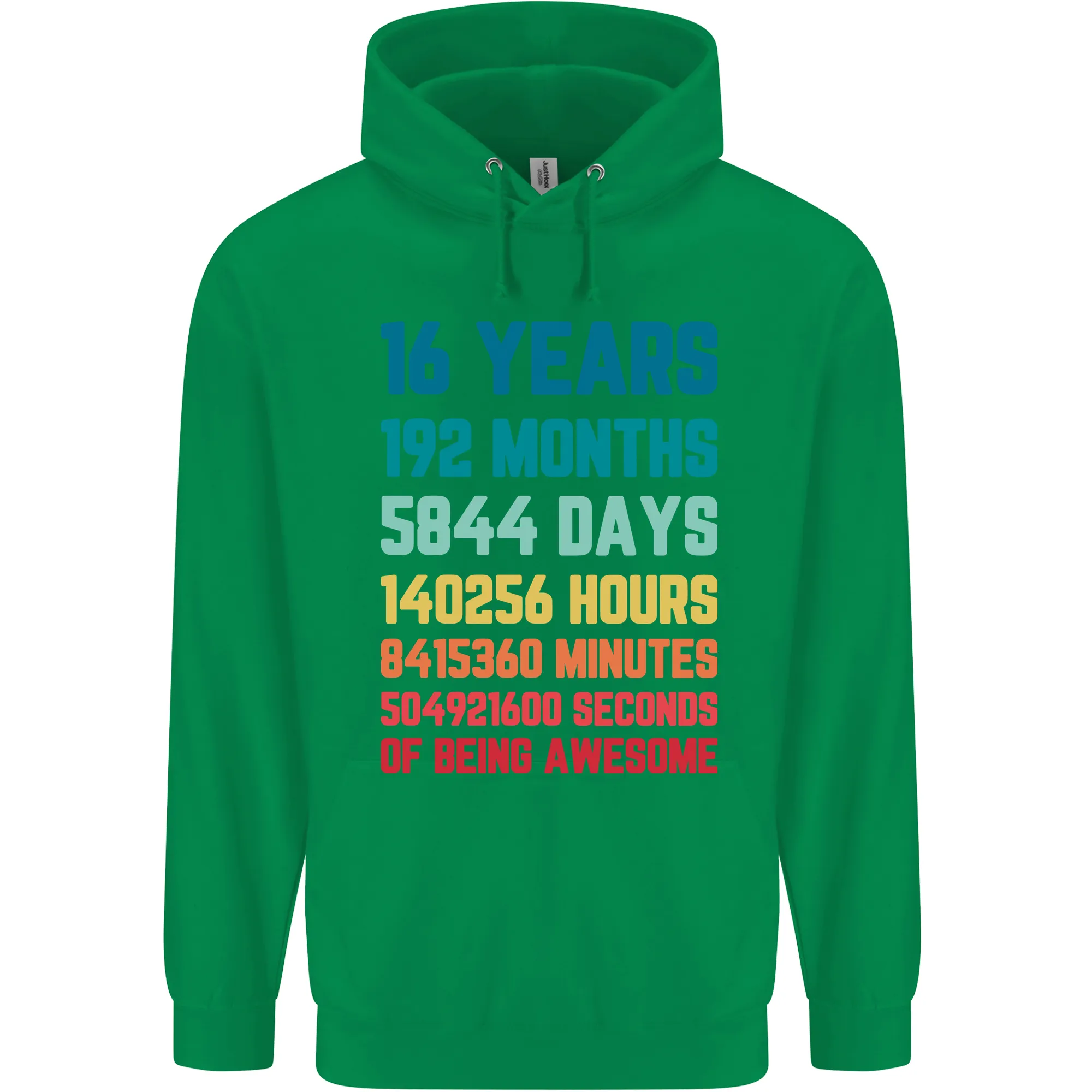 16th Birthday 16 Year Old Childrens Kids Hoodie